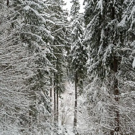 Malino & Residences - And Bike ルジョムベロク